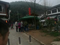 -长兴慧子土特产茶行