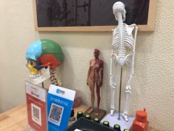 -颜和骨正·明哲式骨相美学整骨