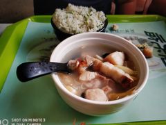 -上海野生动物园老虎餐厅