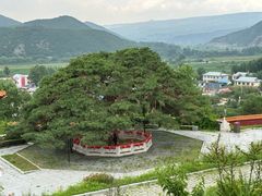 -延吉东来寺