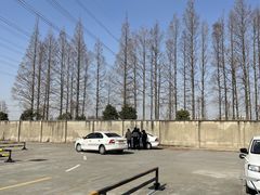 -光明驾校·学车·陪驾(杨浦店)