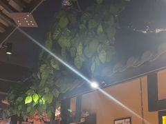 -小凤庭·地道湖北菜武昌鱼·藕汤(38年黄鹤楼店)