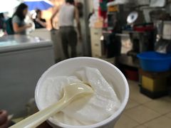 -洪馨椰子