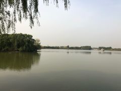 -大兴滨河森林公园