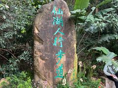 -深圳仙湖植物园