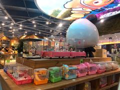 -龟与熊猫宠物公园(南坪店)