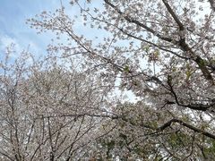 -堤角公园