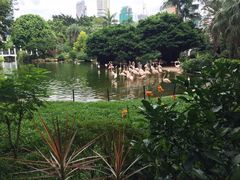 iphone_upload_pic-九龙公园