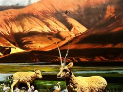 -中国湿地博物馆