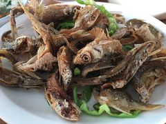 -大莲湖农家乐(青西郊野公园店)