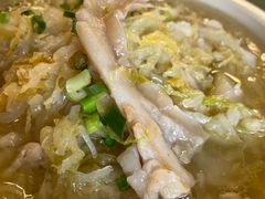 -食家鸽园