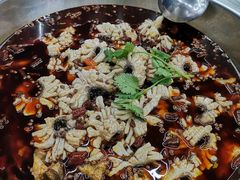 -重庆何乌鱼(南湖逸家店)