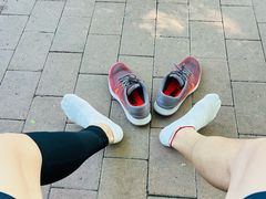 -仁和公园(顺义区)