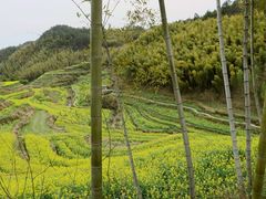 -灵山景区梯田