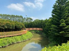 -迪茵湖田家舍生态农场