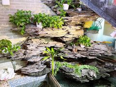 -山水茶艺馆·点心粤菜·30年老字号