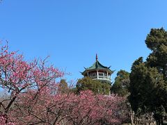 -无锡梅园公园