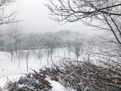 -四明山国家森林公园