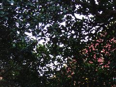 -文昌阁