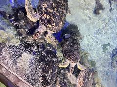 -福州罗源湾海洋世界旅游区