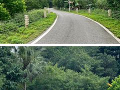 -南宁良凤江国家森林公园