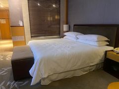 -绿城千岛湖喜来登度假酒店