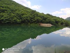 -龙道沟景区