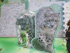 -青藏高原野生动物园
