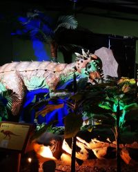 -恐龙探索乐园(磁器口店)