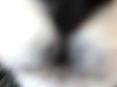 -伟伟宠物医院·瑞派猫友好医院·猫科(光谷店)