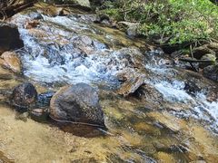 -石台牯牛降景区