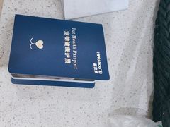 -美迦爱-牙专科·兔科·骨科诊疗中心(北苑店)