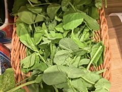 -侃爷南门铜锅涮肉
