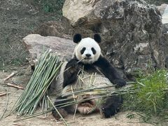 -宁波野生动物园