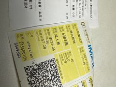 -星河寰宇IMAX影城(星河WORLD·COCO Park店)