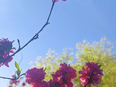 -碑林公园