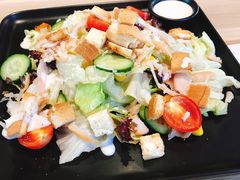 -CAT’S MEWSTAR CAFE·喵星球猫屋(晴湾咖啡店)