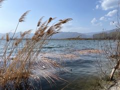 -野鸭湖国家湿地公园