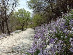 -香山公园