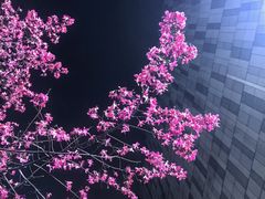 -新梦百货(民族店)