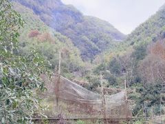 -藏龙百瀑风景区