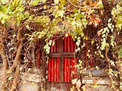 -斯多格书乡(北京大学畅春园店)