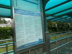 -公交车(申崇六线)