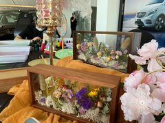 -奔驰上海利星(七宝店)