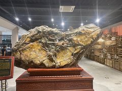-游龙石文化科普馆