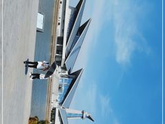 -盐城丹顶鹤湿地生态旅游区