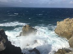 -龙坑生态保护区