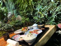 -森味薪火烧•烧鸟居酒屋•日本料理(望京店)