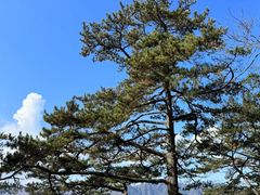 -光雾山旅游景区