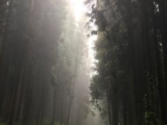 -山王坪喀斯特国家生态公园